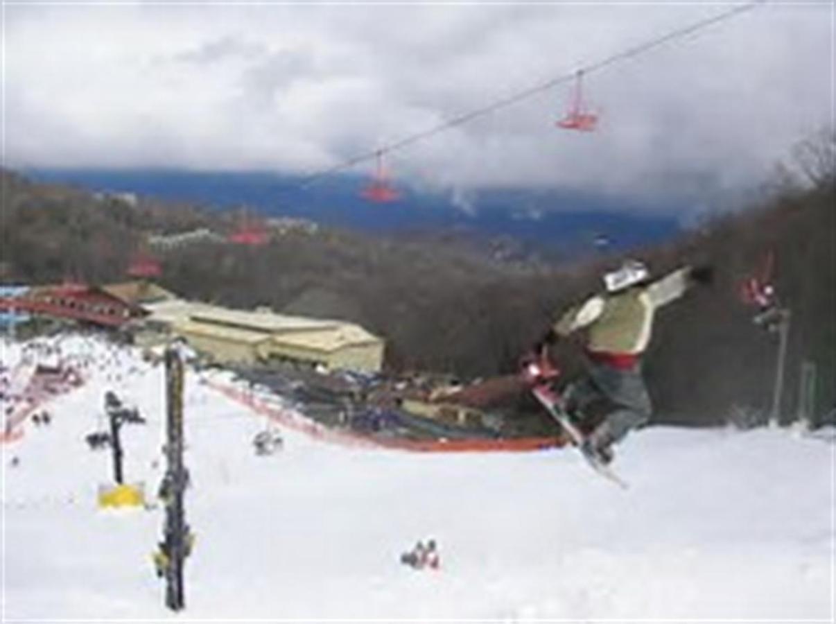 Mountain Springs Chalet Gatlinburg Dış mekan fotoğraf