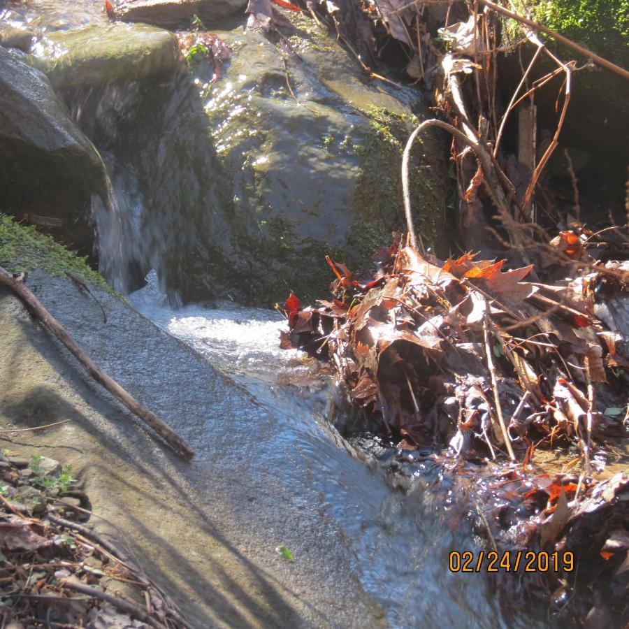 Mountain Springs Chalet Gatlinburg Dış mekan fotoğraf
